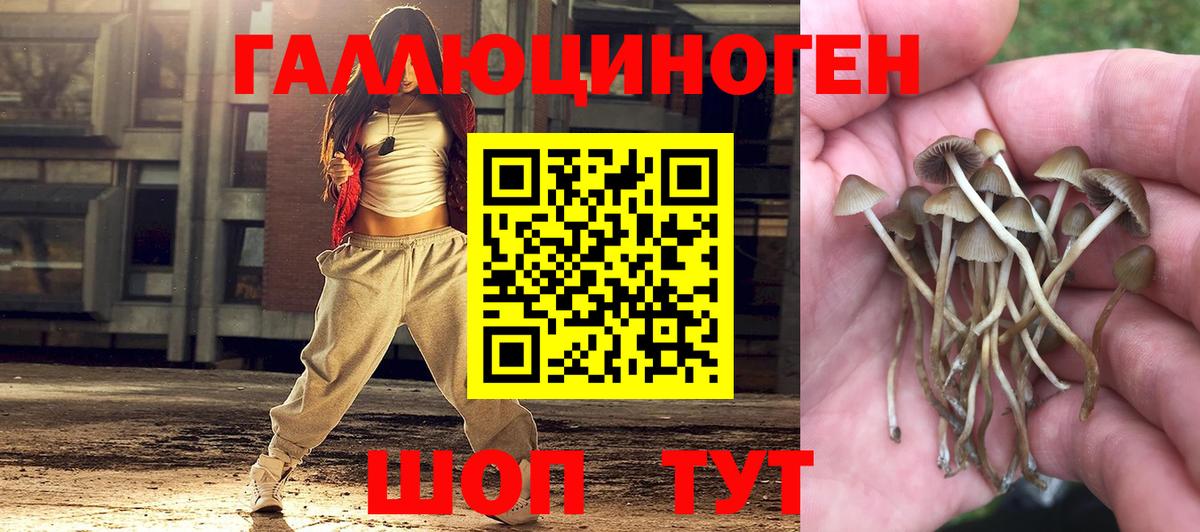 Псилоцибиновые грибы прущие грибы Печора