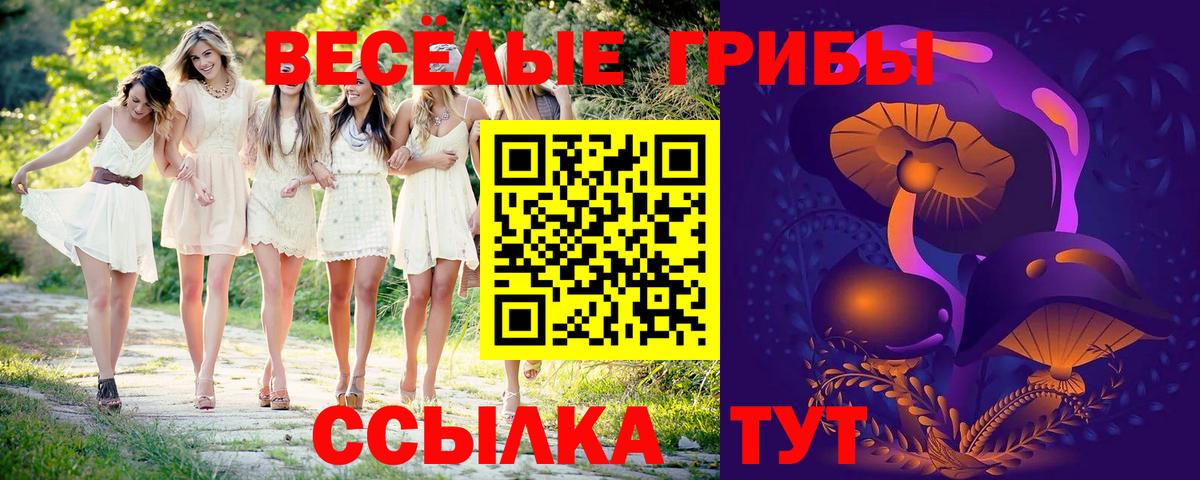 Печора  Псилоцибиновые грибы ЛСД  Галлюциногенные грибы мицелий  продажа наркотиков  Вход с VPN 
